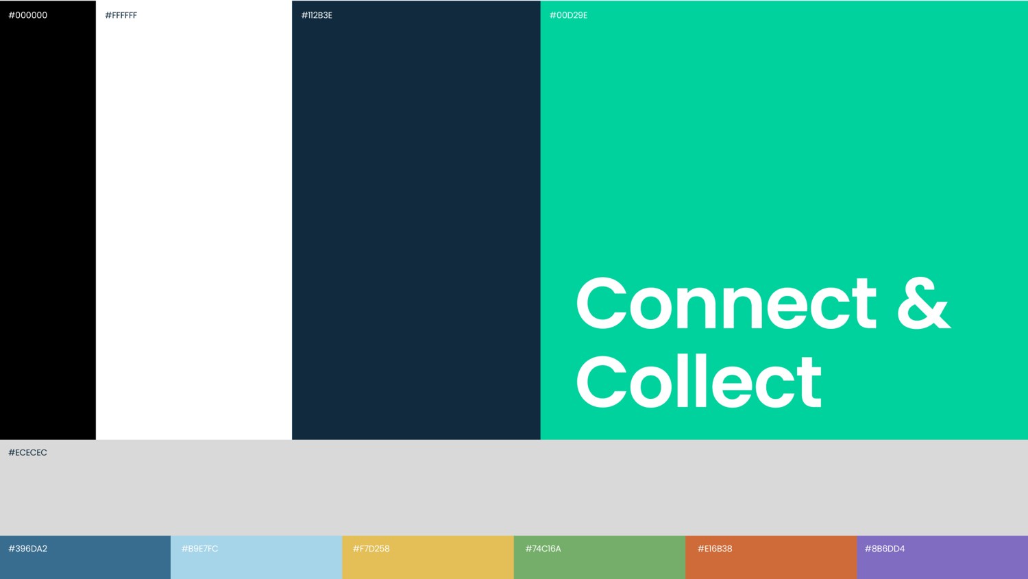 Micro Connect · paleta e aplicação tipográfica · Sedgwick Richardson